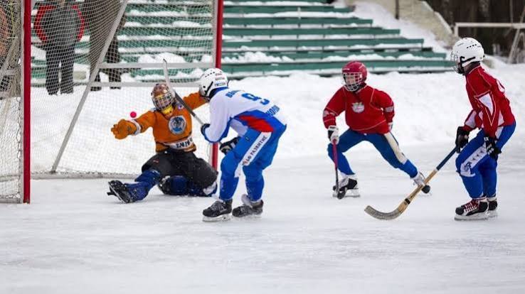 A Guide to Betting on Bandy